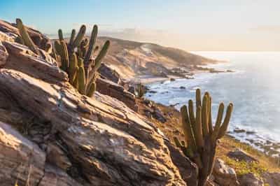 Los Cabos

