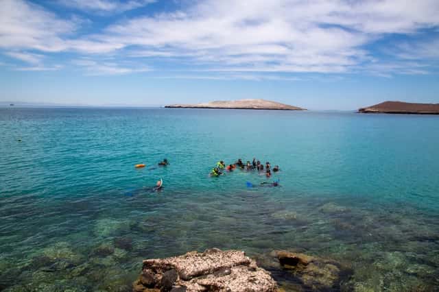 Tour de corales