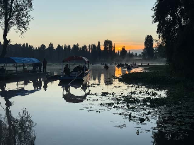 Visita Xochimilco