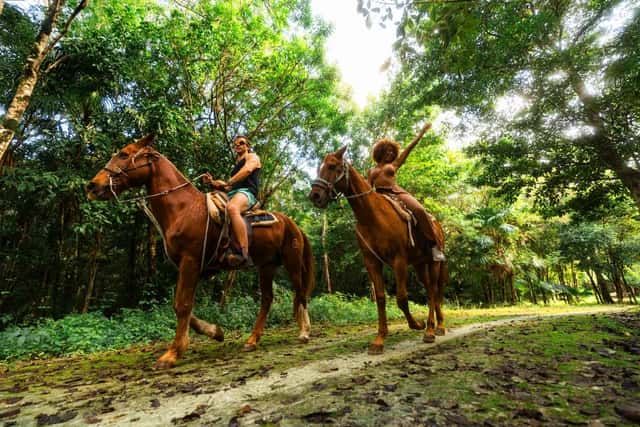 Extreme Horse Adventure