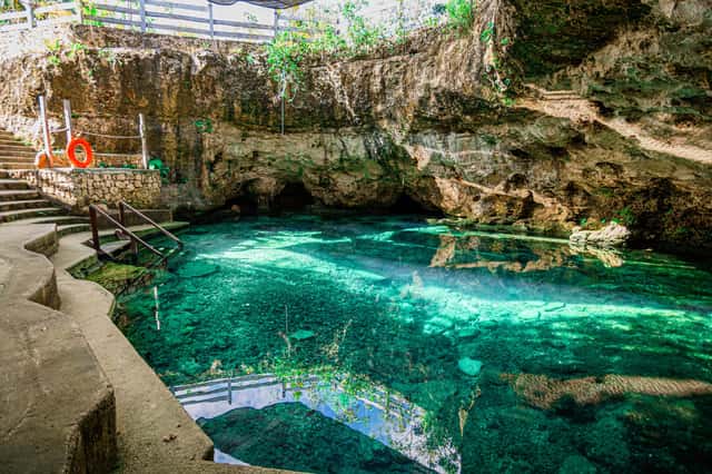 El Retoño | Cenote Club