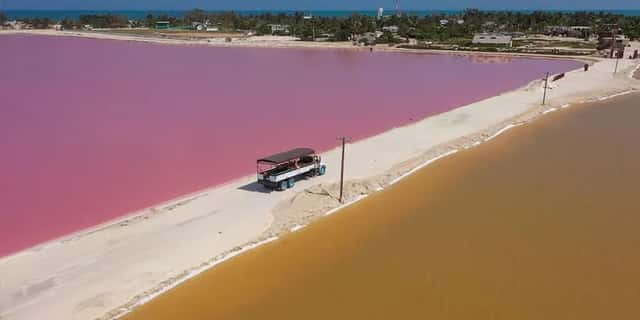 Las Coloradas -Ruta de la Cosecha Safari Tour