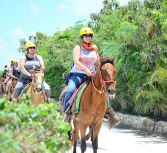 Tour de Polaris y Caballo