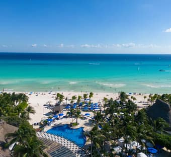 The Reef Playacar