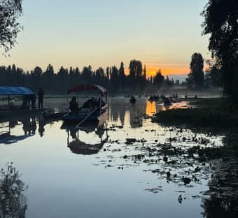 Visita Xochimilco