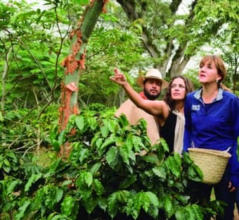 Tour del Café en Coatepec