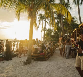 Mayan Monkey Isla Mujeres | Hotel Beach Front