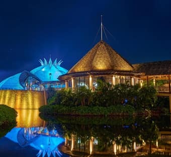 Cirque Du Soleil Joyá