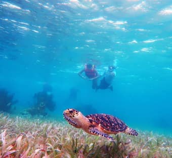 Snorkel Adventuring Cancún