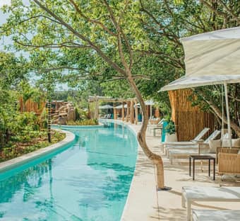 Jungala Aqua Experience