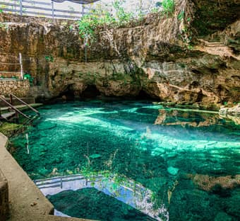 El Retoño | Cenote Club