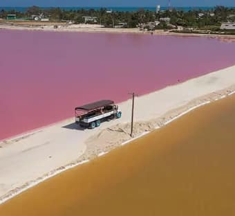 Las Coloradas Ruta de la Cosecha Safari Tour