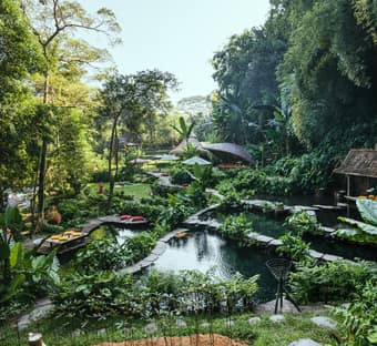Bambu Indah