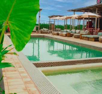 Patito Total Fun