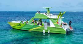 Tour Catamarán Privado