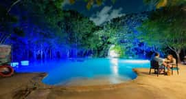 Tour Magic Mystic Memories - Polaris at Night