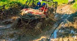 Jungle Buggies Adventures