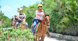 Tour de Polaris y Caballo