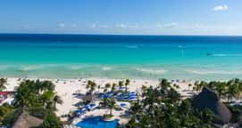 The Reef Playacar