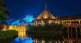 Cirque Du Soleil Joyá