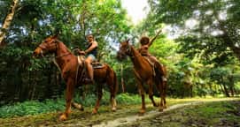Extreme Horse Adventure