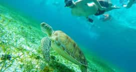 Beach Break Experiences