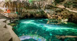 El Retoño | Cenote Club