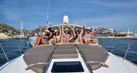 Descubre la libertad a bordo del FREESTYLE