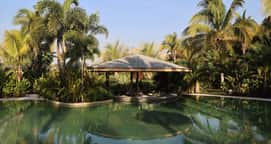 Soul Spring Sanctuary