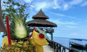 Hotel Hotel el embrujo con day pass