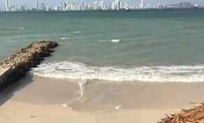 Hotel Margaritas Beach Club con day pass
