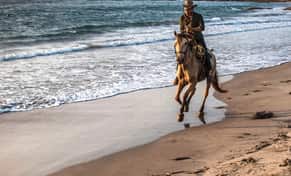 Hotel Blue Apple Beach con day pass