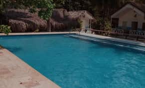 Hotel Hotel Fénix Beach Club con day pass