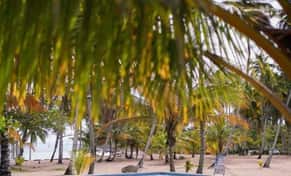 Hotel The Palm Bay Club Lodge con day pass