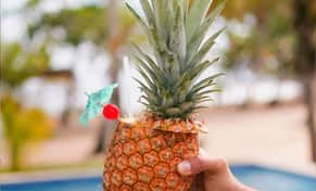 Hotel The Palm Bay Club Lodge con day pass