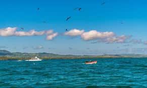 Hotel Whale Watching y Salto El Limón con day pass