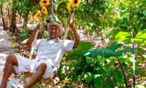 Hotel Bavaro Runners Safari con day pass