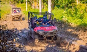 Hotel Buggies y Monkeyland Combo con day pass