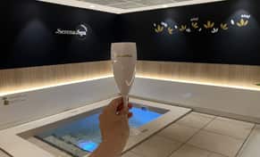 Hotel Serena Spa Barceló Marbella  con day pass