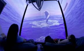 Hotel MUNBA Museo Nacional de la Ballena con day pass