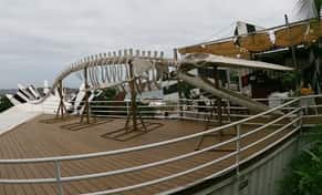 Hotel MUNBA Museo Nacional de la Ballena con day pass