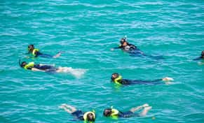 Hotel Tour de corales con day pass