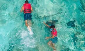 Hotel El Cozumeleño Beach Resort  con day pass
