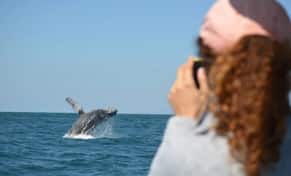 Hotel MUNBA Expeditions con day pass