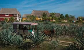 Hotel Tour Privado Sotuta de Peón Hacienda Viva con day pass