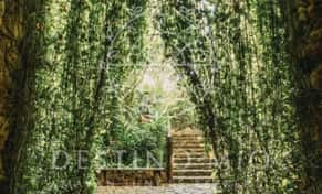 Hotel Destino Mio Mayan Jungle Retreat con day pass