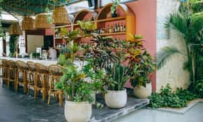 Hotel Mi Amor, a Small Luxury Hotel con day pass