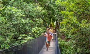 Hotel Resort Sandos Caracol Eco con day pass