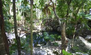 Hotel Resort Sandos Caracol Eco con day pass