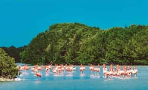 Hotel Tour Privado Celestún Naturaleza con day pass
